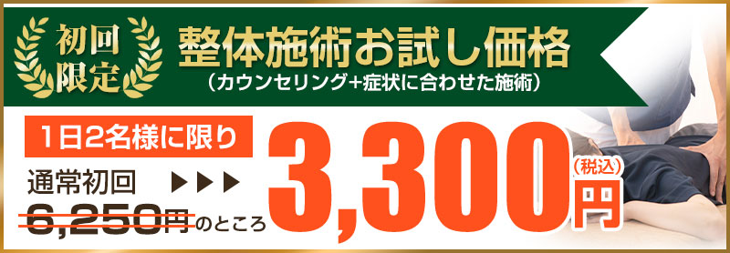初回価格3300円