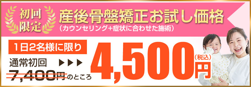 初回価格：4,500円